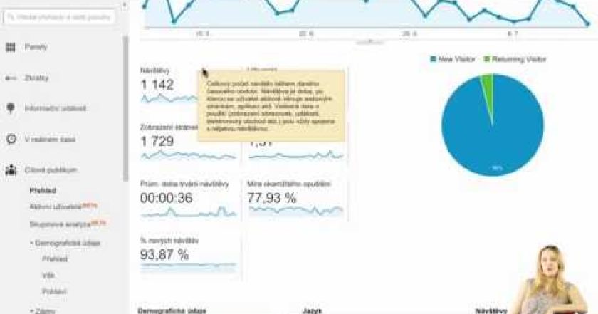 Základní přehledy v Google Analytics