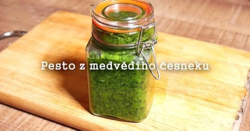 Pesto z medvědího česneku – Jarní super klasika