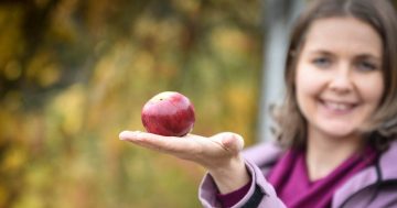 Ulcerózní kolitida a Crohnova choroba – jak žít a jíst kvalitně