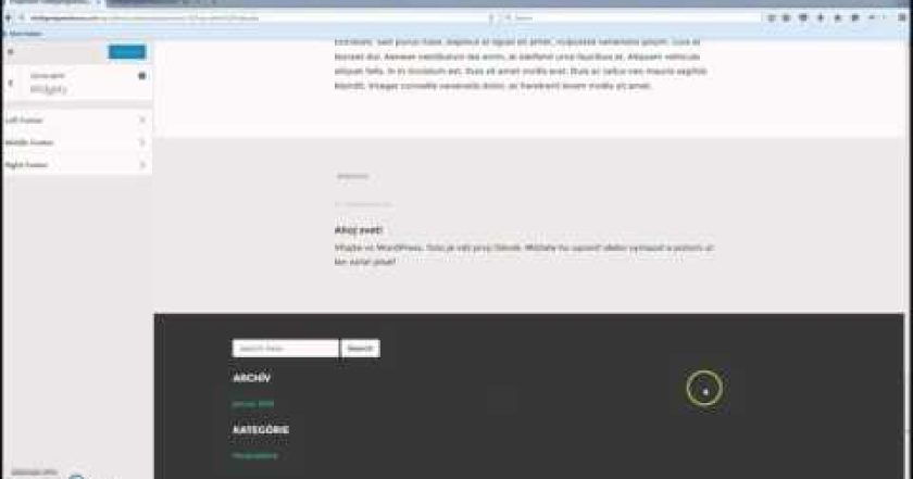 Čo sú widgety a ako ich spravovať – WordPress Návody 14