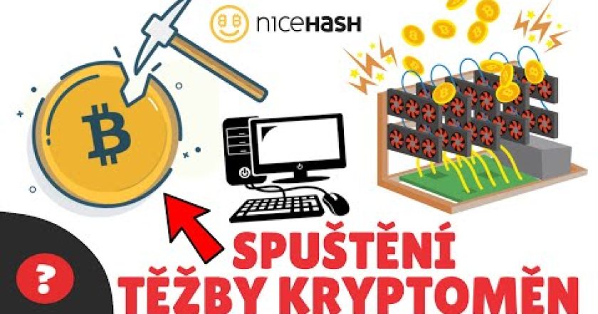 Jak TĚŽIT KRYPTOMĚNY | Návod | NICEHASH / PC