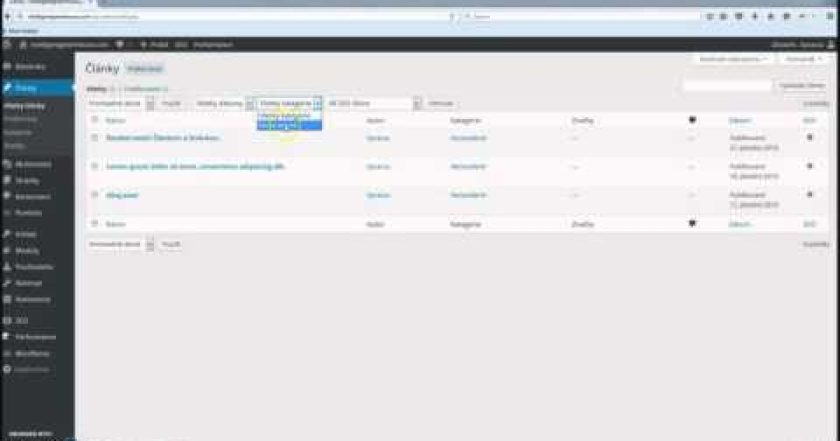 Manažment obsahu a admin panel – WordPress Návody 09