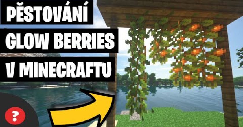 Jak NAJÍT a PĚSTOVAT GLOW BERRIES v MINECRAFTU | Návod | MINECRAFT / PC