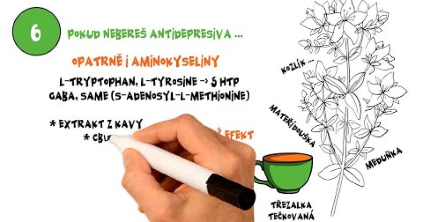 Suplementy & byliny na stres, úzkost, paniku a panické záchvaty