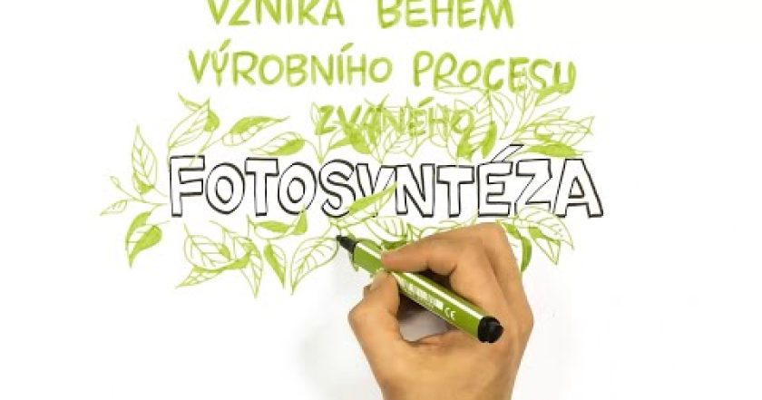 Co je to fotosyntéza? – NEZkreslená věda II