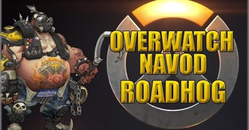 17. Overwatch navod – Roadhog CZ