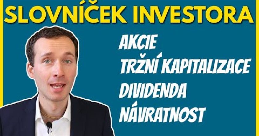 Co je to akcie, tržní kapitalizace, PE či dividenda? (Pro začátečníky)